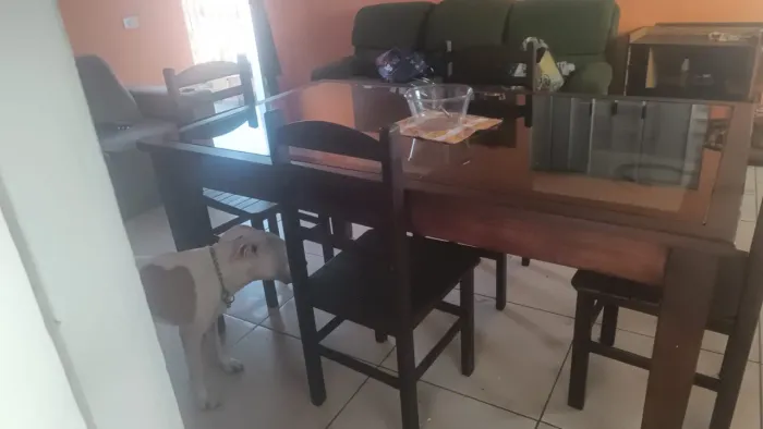 Mesa madeira maciça /tampa de vidro