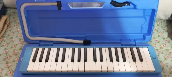 INSTRUMENTO MUSICAL - ESCALETA