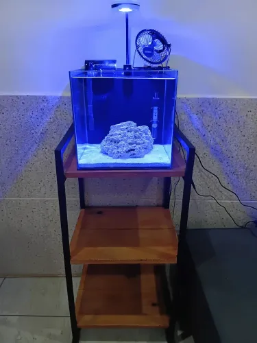 Vendo aquário marinho com móvel, vidros extra clear, lapidados, completo