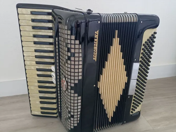 Acordeon Excelsior 120 baixos