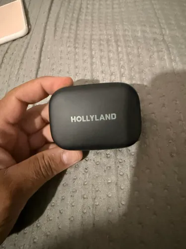 LAPELA HOLLYLAND LARK A1
