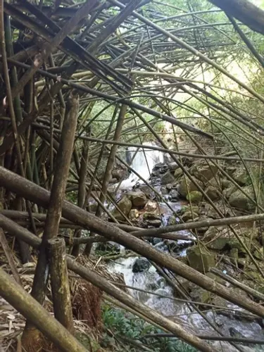 Vend Sitio de 25 alqueiro plantiu
