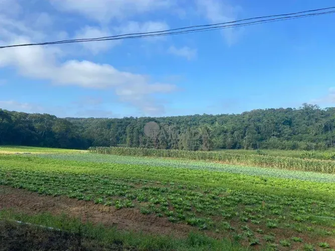 Sitio à venda, 194 mil metros m² por R$ 12.582.000 - Parque Santa Rosa - Suzano/SP