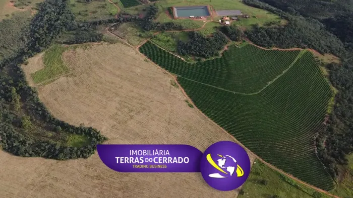 GIGANTE MULTIPRODUÇÃO: 1.670ha para Café e Pecuária - O Melhor da Dupla Aptidão!