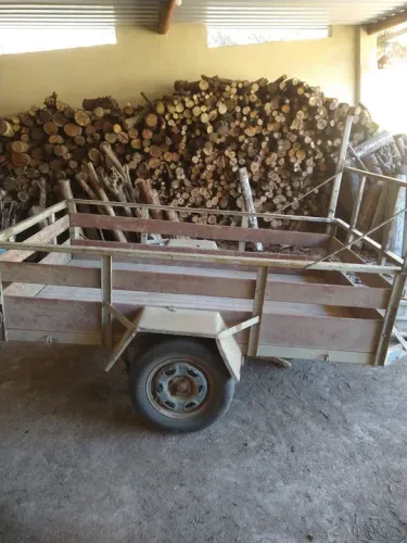 Vendo lenha seca de eucalipto 