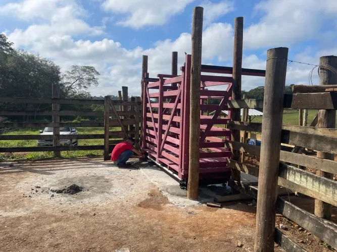 Balança de Boi