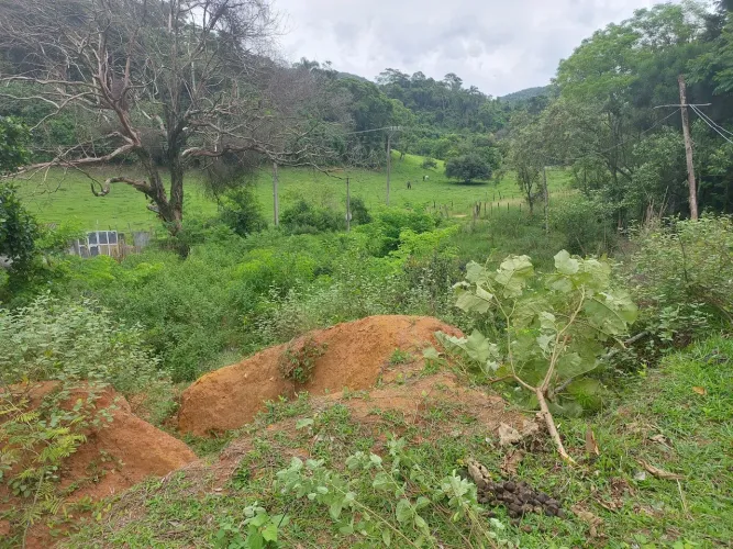 Vendo Terreno com 7 mil metros quadrados!