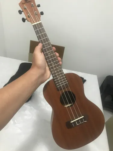 Ukulele harmonics