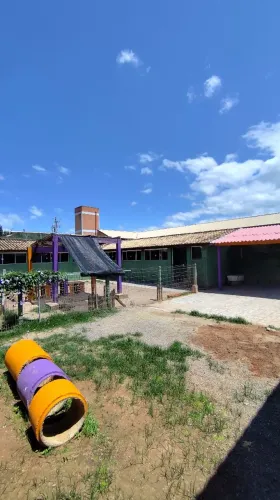 Alugo hotel para cães 