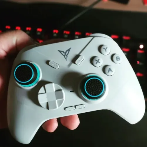 Controle Flydigi Direwolf Wireless Hall Effect Lacrado