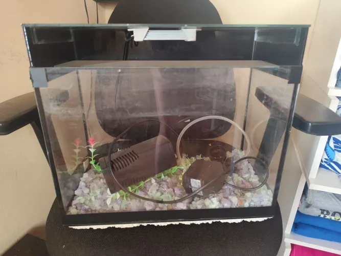 Vendo aquário completo