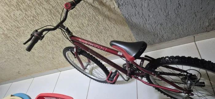Bicicleta Aro 24