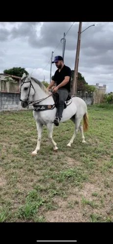 Vendo besta,quarta de milha 5000,00