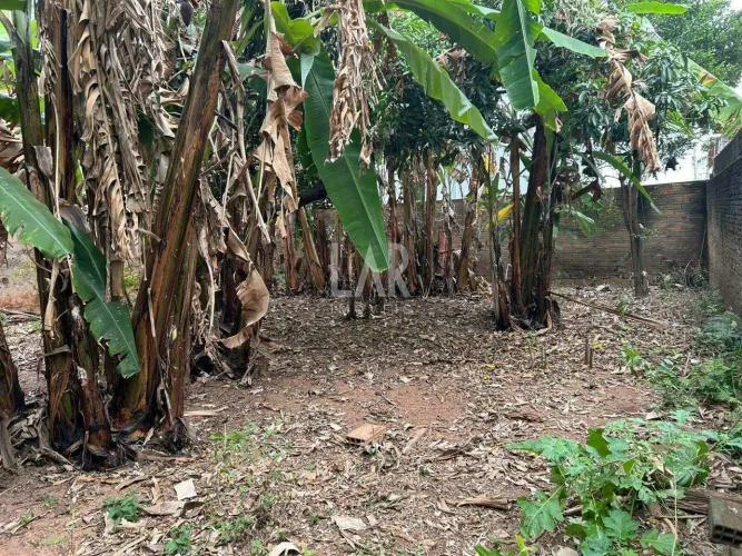 Lote - Terreno à venda, Floramar - Belo Horizonte/MG
