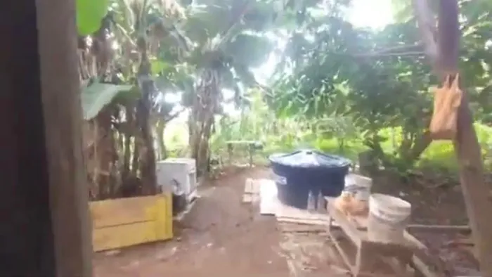 Terreno com Barraco em Humaitá Troco
