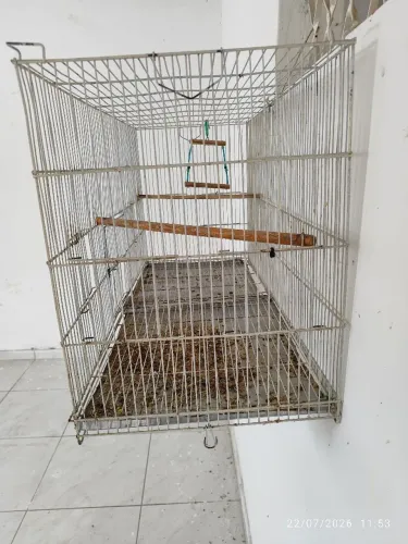 Gaiolão 220 e cada cambuca de cedro 100, Reais 