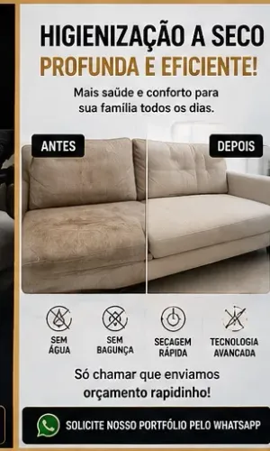 Higienização Profunda sem Molhar