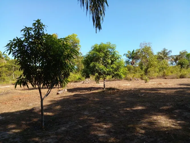 ANÚNCIO DE VENDA_ TERRENO RURAL