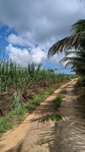Sítio em Primavera ,Pernambuco a venda com 13 hectares de terra 
