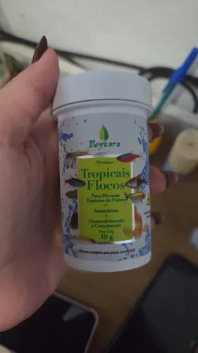 Aquario 9 litros com acessórios