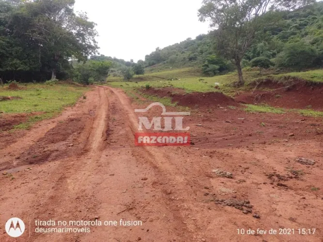 Fazenda 126.3 alqueires ( 611.44 hectares ) Barro Alto-GO