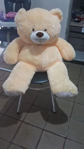 Urso grande