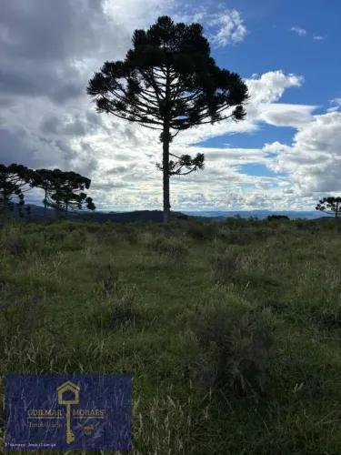 Área para Venda em São Joaquim, Perico