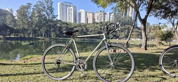 Bike speed caloi 10