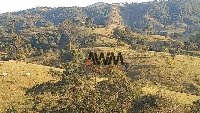Fazenda à venda, 1694000 m² por R$ 6.650.000,00 - Centro - Carmo do Rio Verde/GO