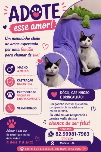 Adoção Responsável 