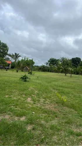 Serviço rural 