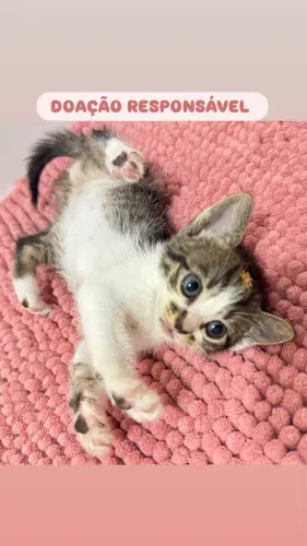 DOAÇÃO RESPONSÁVEL 