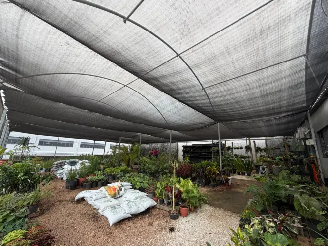 Estufa / viveiro plantas ornamentais, morangos, hortaliças