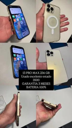 13 PRO MAX 256GB 3 meses de garantia