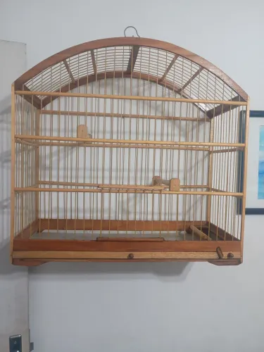 Animais de estimação acessórios para pety