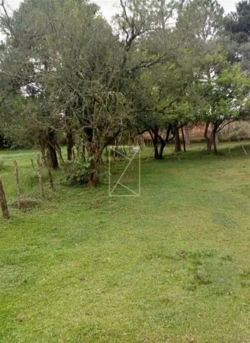 Oportunidade para investimento Excelente área de terra, em Vacaria. Sã