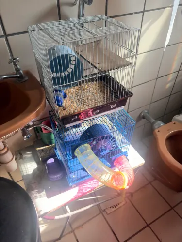 Gaiola de hamster