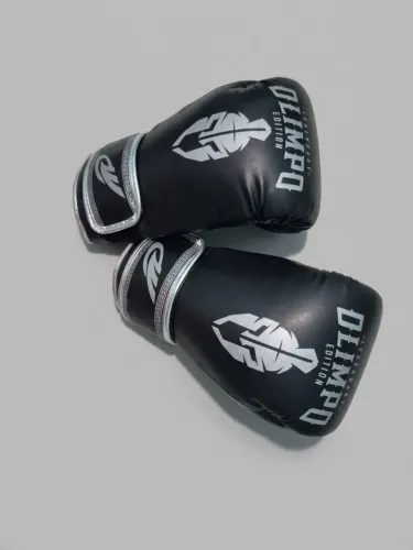 Luva de boxe e muay Thai semi nova