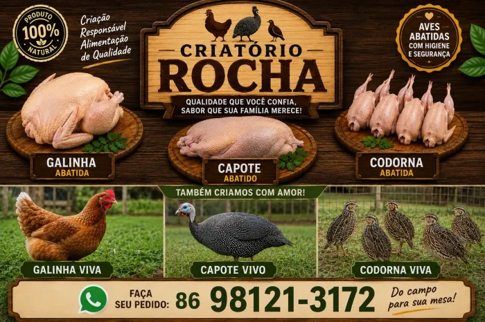 Galinha , capote e codorna 