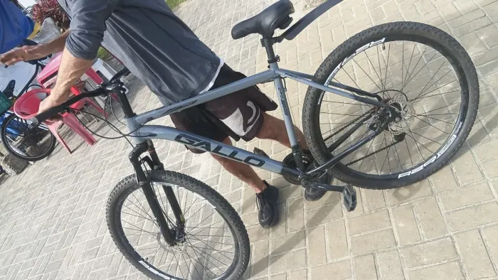 Bicicleta Gallo aro 29 com freio a disco 