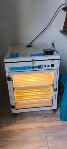 Chocadeira luna 