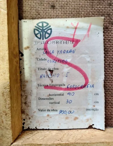 Obra de Arte do 33º Salão Paranaense (1976)