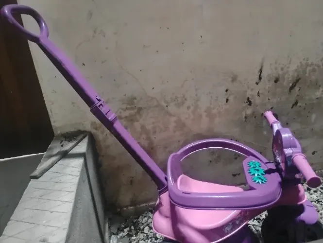 Carinho de passeio 
