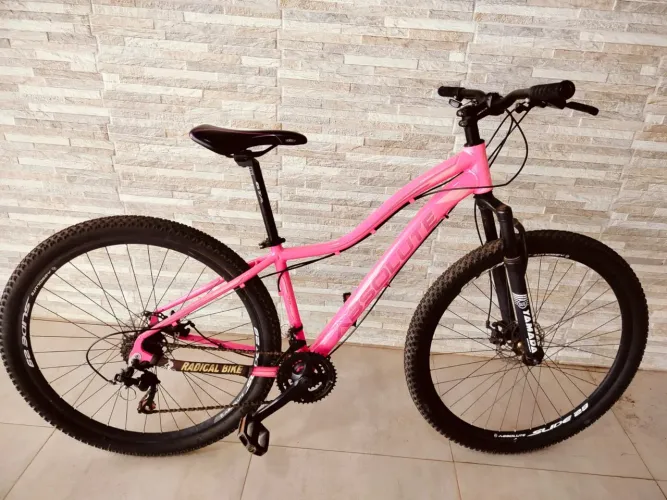 Bicicleta Aro 19