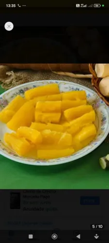 Mandioca amarela de mesa extra. Embrapa 429