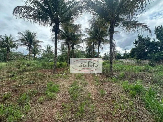 Chácara à venda, 3000 m² por R$ 550.000,00 - Zona Rural - Brodowski/SP