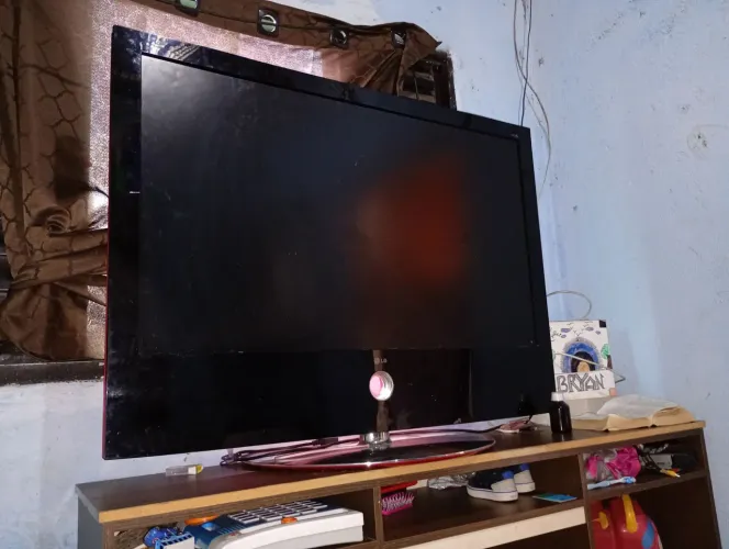 Televisão