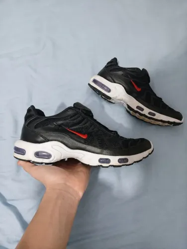 Nike Air Max Plus Masculino Preto
