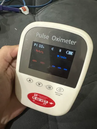 Oxímetro Veterinário Ultra Portátil R40VET