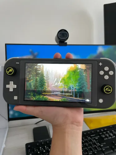 Nintendo Switch Lite Desbloqueado